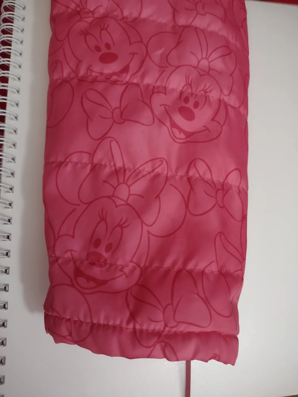 Disney Pink Minnie Hooded Jacket